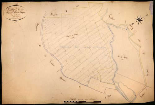 Suilly-la-Tour, cadastre ancien : plan parcellaire de la section A dite de Seigne, feuille 13