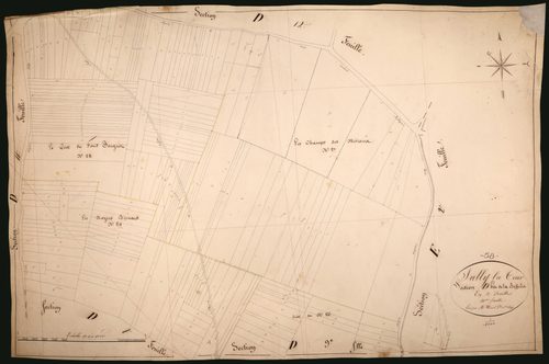 Suilly-la-Tour, cadastre ancien : plan parcellaire de la section D dite de la Buffière, feuille 10
