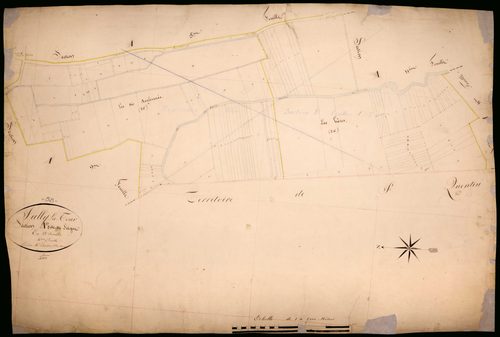 Suilly-la-Tour, cadastre ancien : plan parcellaire de la section A dite de Seigne, feuille 10