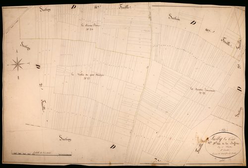 Suilly-la-Tour, cadastre ancien : plan parcellaire de la section D dite de la Buffière, feuille 8