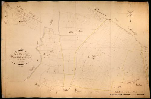 Suilly-la-Tour, cadastre ancien : plan parcellaire de la section C dite de Champcelée, feuille 1