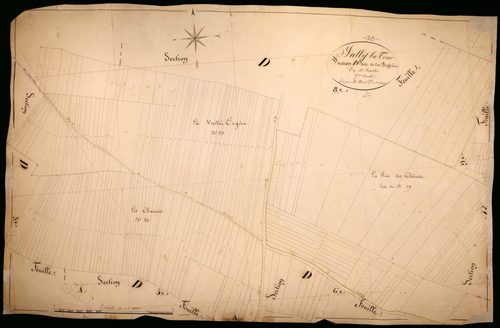 Suilly-la-Tour, cadastre ancien : plan parcellaire de la section D dite de la Buffière, feuille 7
