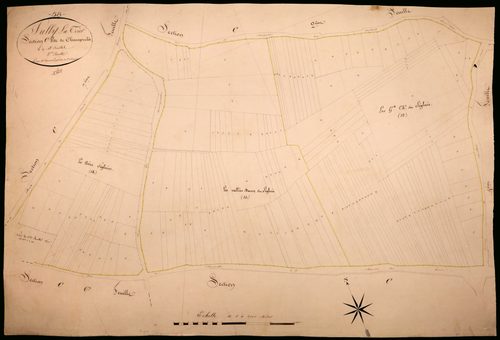 Suilly-la-Tour, cadastre ancien : plan parcellaire de la section C dite de Champcelée, feuille 5