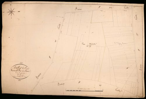 Suilly-la-Tour, cadastre ancien : plan parcellaire de la section F dite de la Filouse, feuille 11