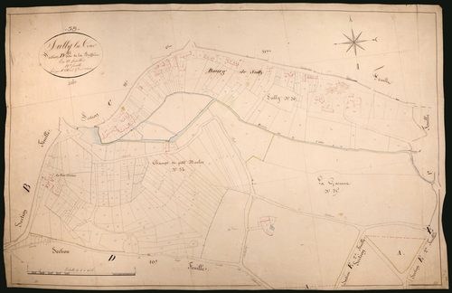 Suilly-la-Tour, cadastre ancien : plan parcellaire de la section D dite de la Buffière, feuille 12