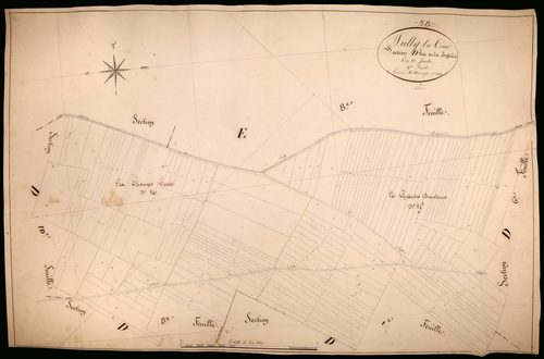 Suilly-la-Tour, cadastre ancien : plan parcellaire de la section D dite de la Buffière, feuille 9