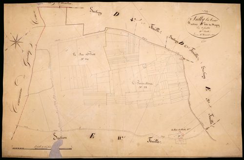 Suilly-la-Tour, cadastre ancien : plan parcellaire de la section E dite du Magny, feuille 10
