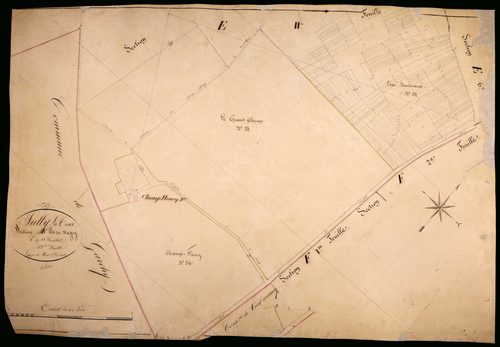 Suilly-la-Tour, cadastre ancien : plan parcellaire de la section E dite du Magny, feuille 12