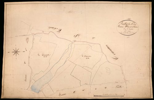Suilly-la-Tour, cadastre ancien : plan parcellaire de la section F dite de la Filouse, feuille 9