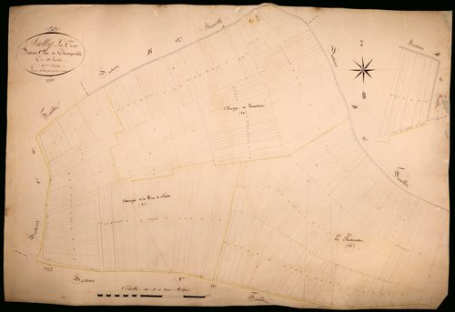 Suilly-la-Tour, cadastre ancien : plan parcellaire de la section C dite de Champcelée, feuille 10