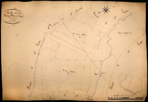 Suilly-la-Tour, cadastre ancien : plan parcellaire de la section A dite de Seigne, feuille 11