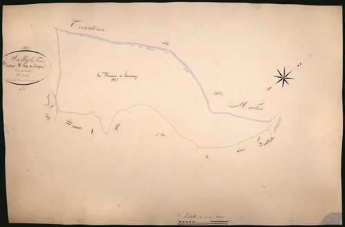 Suilly-la-Tour, cadastre ancien : plan parcellaire de la section A dite de Seigne, feuille 8