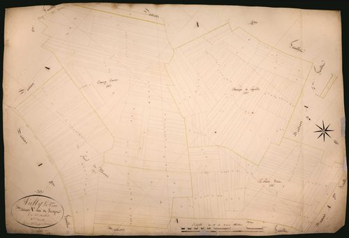 Suilly-la-Tour, cadastre ancien : plan parcellaire de la section A dite de Seigne, feuille 6