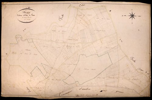 Surgy, cadastre ancien : plan parcellaire de la section A dite de Trion, feuille 2