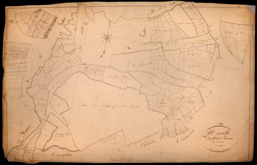 Taconnay, cadastre ancien : plan parcellaire de la section B dite de Taconnay, feuille 1