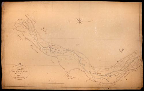 Taconnay, cadastre ancien : plan parcellaire de la section A dite de Neuville, feuille 1