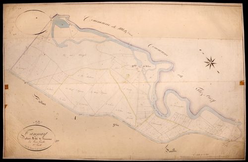 Tannay, cadastre ancien : plan parcellaire de la section A dite de Tanneau, feuille 2