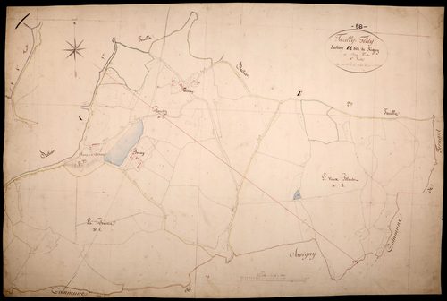 Tazilly, cadastre ancien : plan parcellaire de la section E dite de Rigny, feuille 1