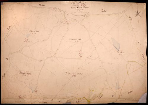 Tazilly, cadastre ancien : plan parcellaire de la section D dite de Barnaud, feuille 6