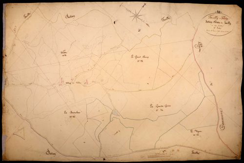 Tazilly, cadastre ancien : plan parcellaire de la section C dite de Tazilly, feuille 6