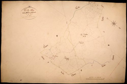 Tazilly, cadastre ancien : plan parcellaire de la section D dite de Barnaud, feuille 5