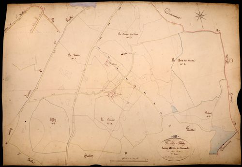 Tazilly, cadastre ancien : plan parcellaire de la section D dite de Barnaud, feuille 1