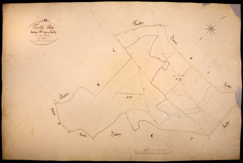 Tazilly, cadastre ancien : plan parcellaire de la section C dite de Tazilly, feuille 7