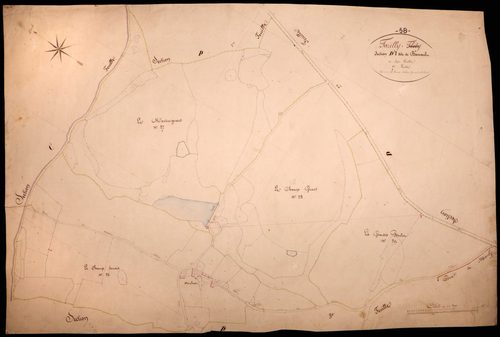 Tazilly, cadastre ancien : plan parcellaire de la section D dite de Barnaud, feuille 7