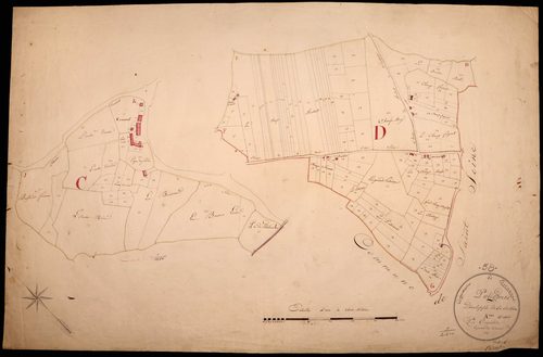 Ternant, cadastre ancien : plan parcellaire de la section A dite de Hiry, développement 2