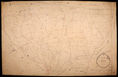Ternant, cadastre ancien : plan parcellaire de la section E dite de Ternant