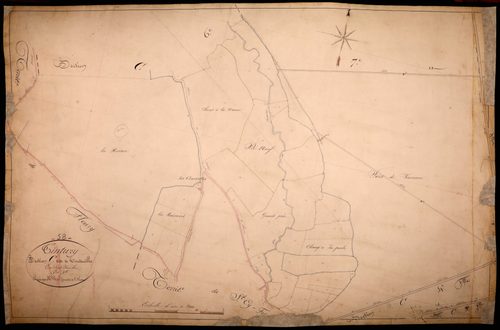 Tintury, cadastre ancien : plan parcellaire de la section C dite de Touteuille, feuille 5