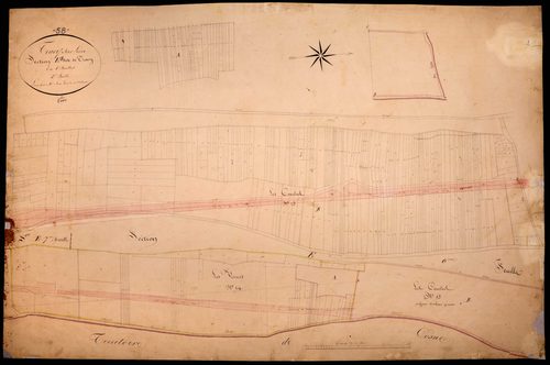 Tracy-sur-Loire, cadastre ancien : plan parcellaire de la section E dite de Tracy, feuille 5