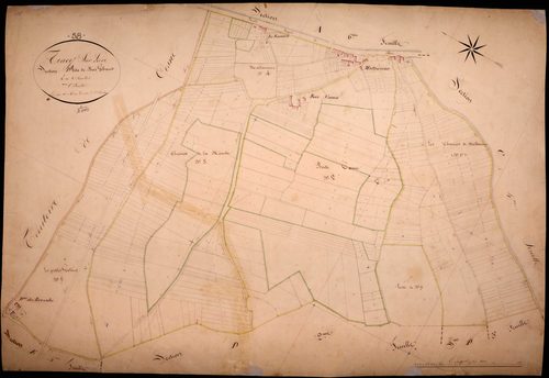 Tracy-sur-Loire, cadastre ancien : plan parcellaire de la section D dite de Bois Gibault, feuille 1