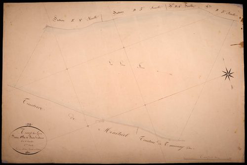Tracy-sur-Loire, cadastre ancien : plan parcellaire de la section D dite de Bois Gibault, feuille 6