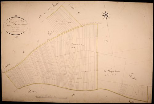 Tracy-sur-Loire, cadastre ancien : plan parcellaire de la section C dite des Gominets, feuille 2