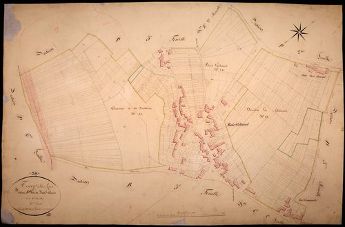 Tracy-sur-Loire, cadastre ancien : plan parcellaire de la section D dite de Bois Gibault, feuille 4