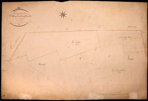 Tracy-sur-Loire, cadastre ancien : plan parcellaire de la section A dite de Bois Fleury et Fontenille, feuille 1