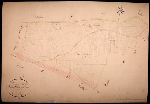 Tracy-sur-Loire, cadastre ancien : plan parcellaire de la section D dite de Bois Gibault, feuille 5