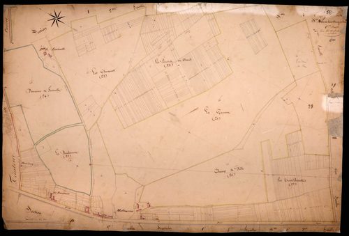 Tracy-sur-Loire, cadastre ancien : plan parcellaire de la section A dite de Bois Fleury et Fontenille, feuille 6