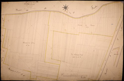 Tracy-sur-Loire, cadastre ancien : plan parcellaire de la section C dite des Gominets, feuille 4