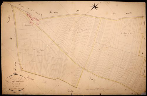 Tracy-sur-Loire, cadastre ancien : plan parcellaire de la section C dite des Gominets, feuille 1