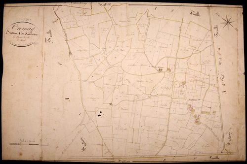 Tresnay, cadastre ancien : plan parcellaire de la section A dite de Saulnières, feuille 2