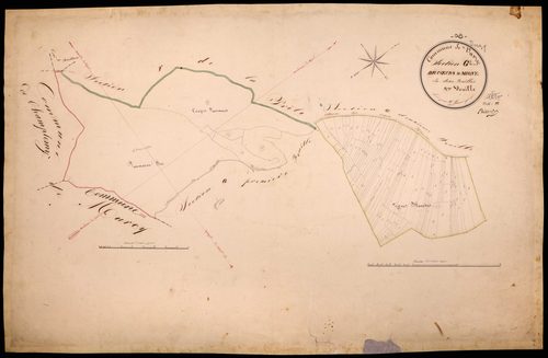Varzy, cadastre ancien : plan parcellaire de la section G dite de Coeurs et Migny, feuille 2