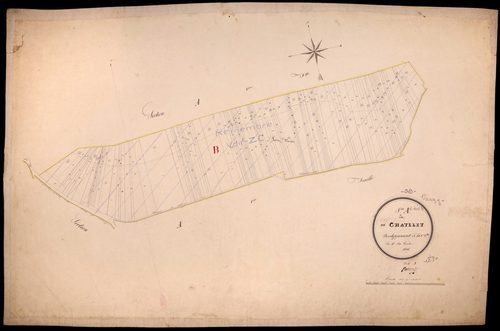 Varzy, cadastre ancien : plan parcellaire de la section A dite de Châtelet, feuille 1, développement