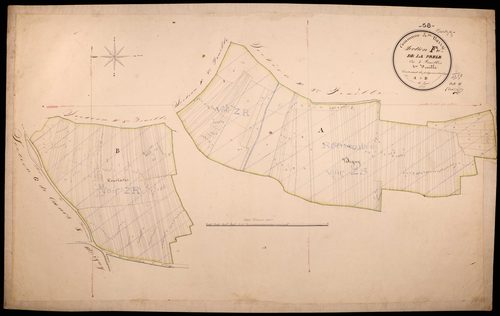 Varzy, cadastre ancien : plan parcellaire de la section F dite de la Prêle, feuille 4