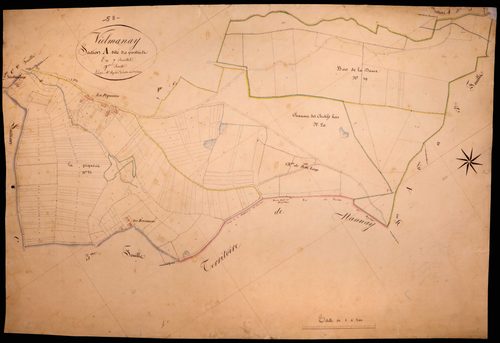 Vielmanay, cadastre ancien : plan parcellaire de la section A dite des Pivotins, feuille 7