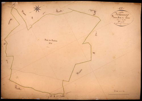 Vielmanay, cadastre ancien : plan parcellaire de la section A dite des Pivotins, feuille 3