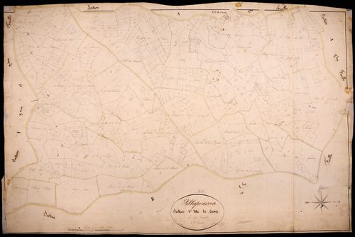 Villapourçon, cadastre ancien : plan parcellaire de la section A dite de Cussy, feuille 3