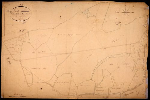 Vitry-Laché, cadastre ancien : plan parcellaire de la section A dite des Bois de Vaux, feuille 1