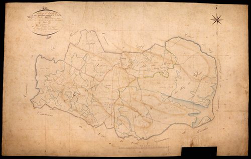 Vitry-Laché, cadastre ancien : tableau d'assemblage